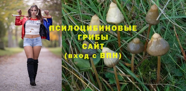 тгк Карталы