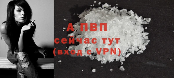 прущие крисы Каменногорск