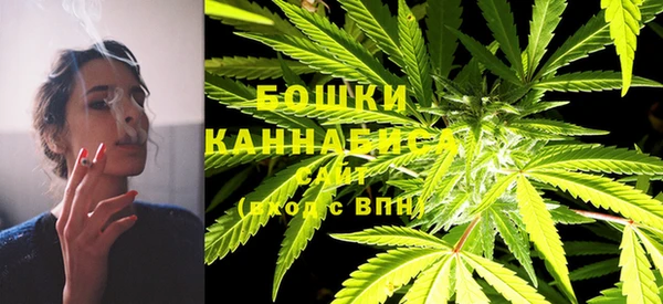 прущие крисы Каменногорск