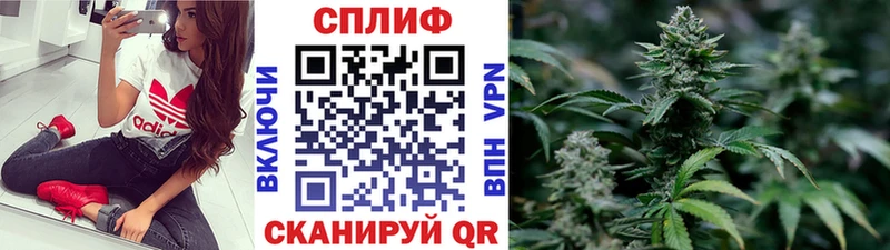 Купить  Нерехта  Марихуана White Widow 